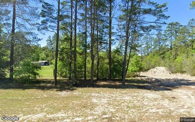 1.5 Acres in Middleburg - Clay County, FL - Image 4