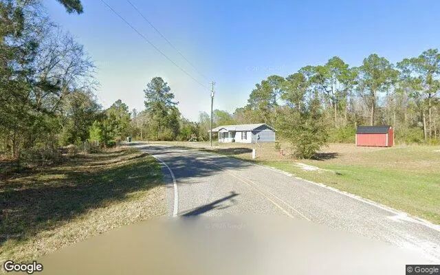 Decorative background for 0.63 Acres in Telogia - Liberty County, FL image 6