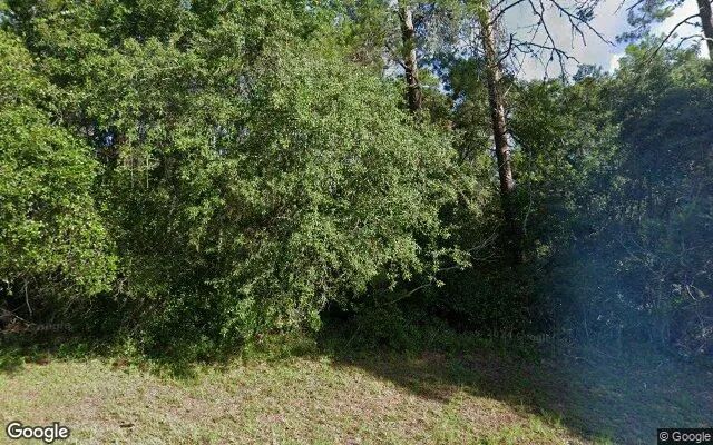 0.55 Acres in Anthony - Marion County, FL - Image 4