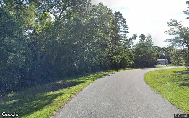 Decorative background for 0.55 Acres in Anthony - Marion County, FL image 6