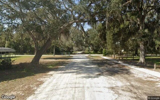 Decorative background for 0.25 Acres in Melrose - Putnam County, FL image 6