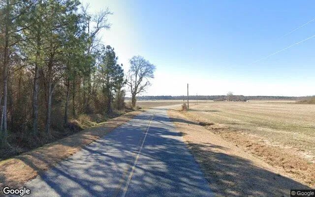Decorative background for 11.77 Acres in Snow Hill - Greene County, NC image 5