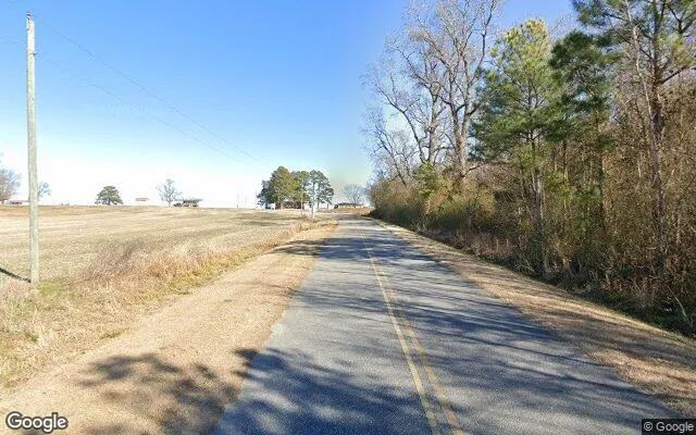 Decorative background for 11.77 Acres in Snow Hill - Greene County, NC image 6