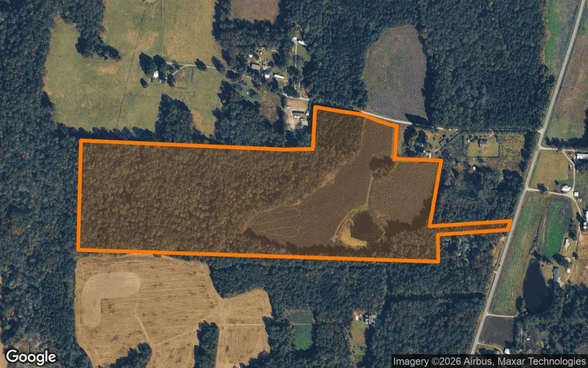 79.93 Acres in Liberty - Alamance County, NC - Main image