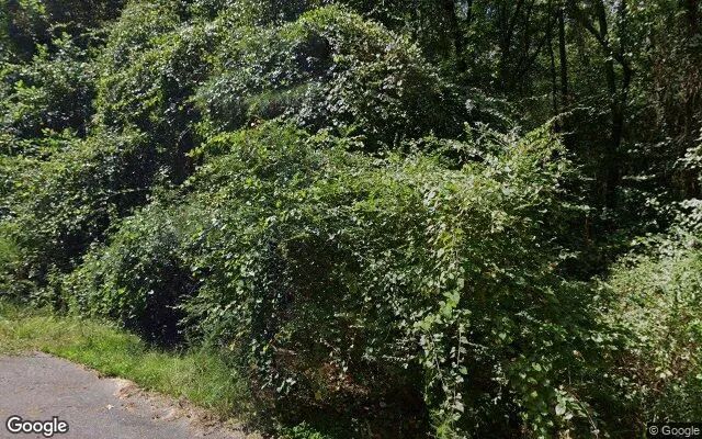 Decorative background for 0.57 Acres in Smithfield - Johnston County, NC image 5