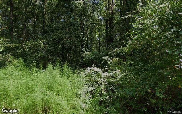 Decorative background for 0.57 Acres in Smithfield - Johnston County, NC image 6