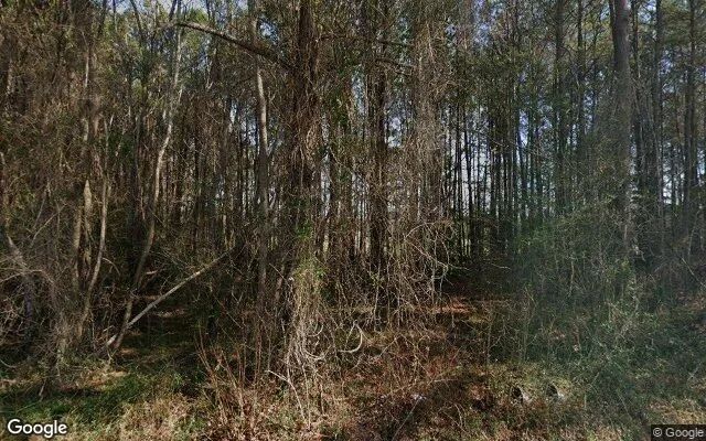 1.13 Acres in Princeton - Johnston County, NC - Image 4
