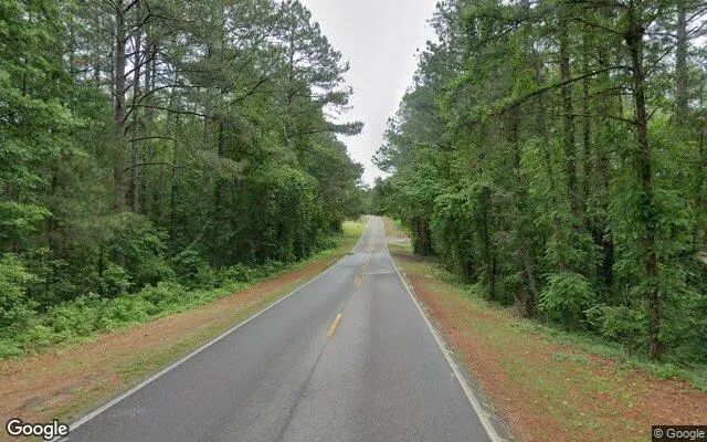 Decorative background for 0.19 Acres in Wagram - Scotland County, NC image 5