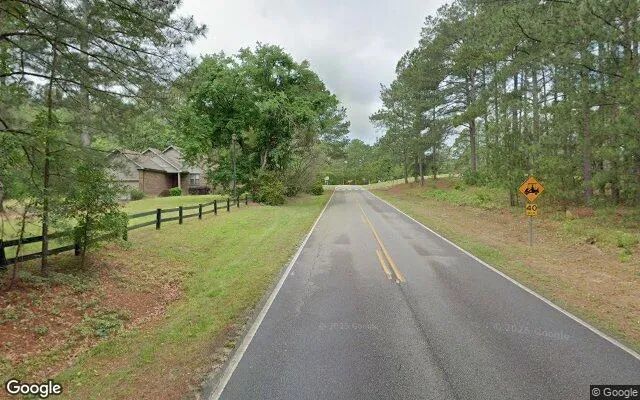 Decorative background for 0.19 Acres in Wagram - Scotland County, NC image 6