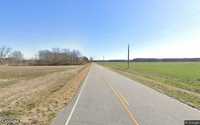 Decorative background for 251.34 Acres in Robersonville - Martin County, NC image 5