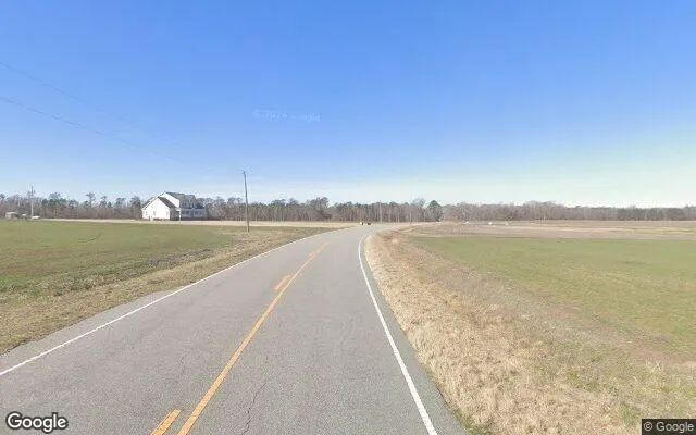 Decorative background for 251.34 Acres in Robersonville - Martin County, NC image 6