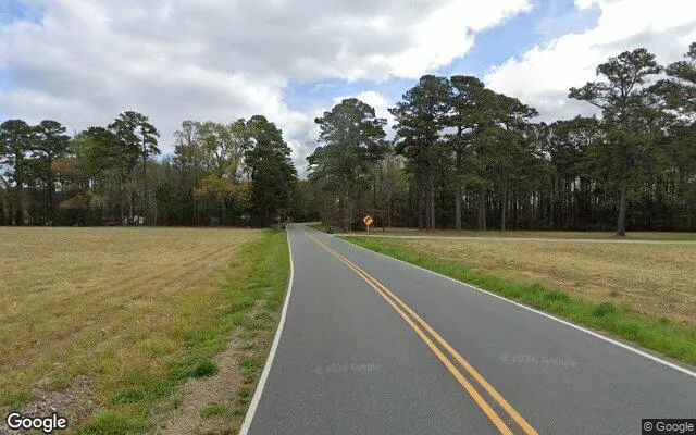 Decorative background for 1.26 Acres in Columbia - Tyrrell County, NC image 6