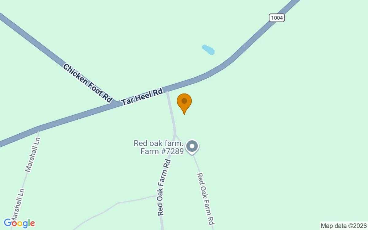 0.74 Acres in Elizabethtown - Bladen County, NC - Image 2