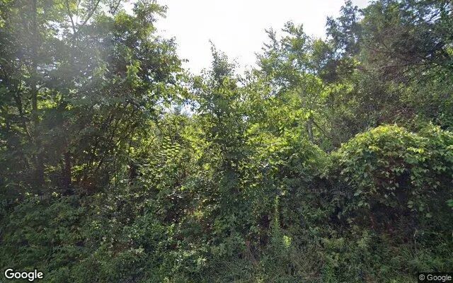 5.93 Acres in Snow Camp - Alamance County, NC - Image 4