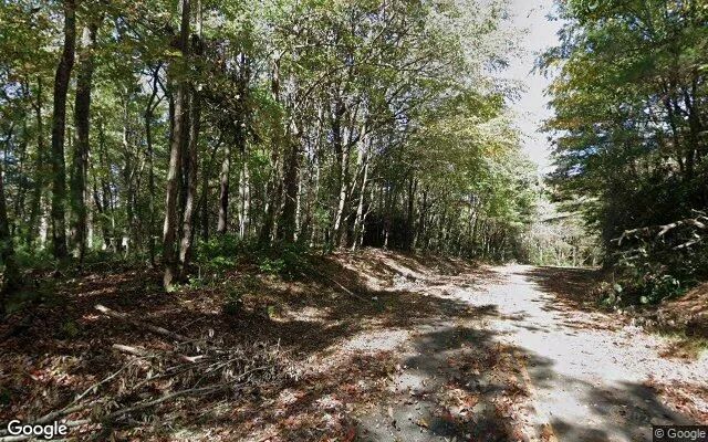 Decorative background for 0.22 Acres in Ennice - Alleghany County, NC image 6