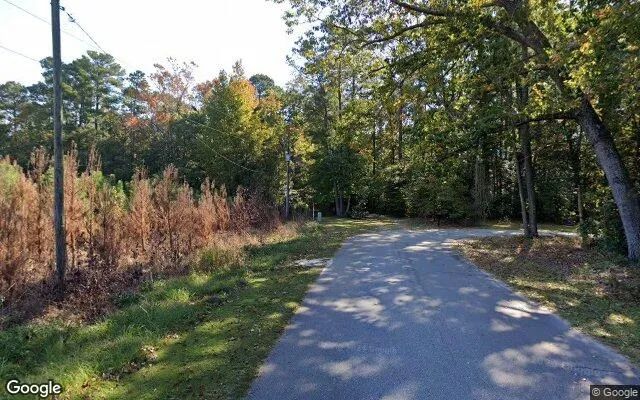 Decorative background for 0.39 Acres in Tar Heel - Bladen County, NC image 5