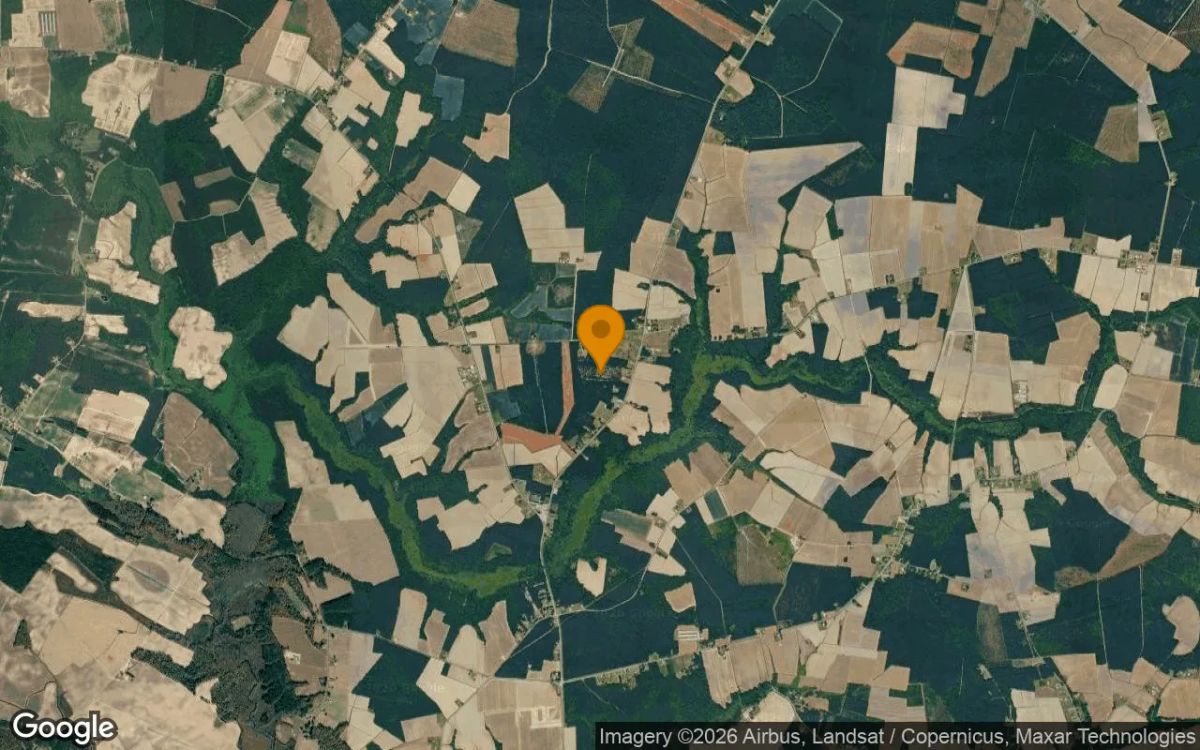 11 Acres in Hobbsville - Gates County, NC - Image 3