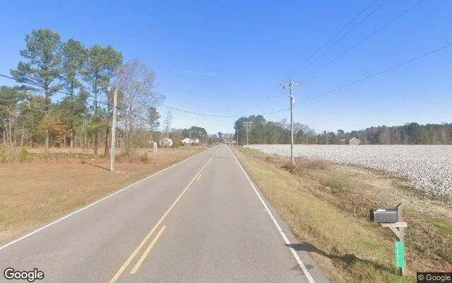 Decorative background for 11 Acres in Hobbsville - Gates County, NC image 6