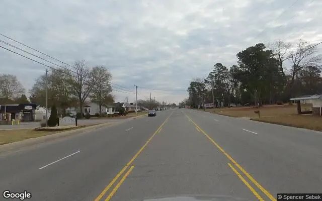 Decorative background for 0.21 Acres in Duplin - Duplin County, NC image 5