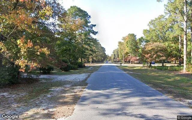Decorative background for 0.49 Acres in Elizabethtown - Bladen County, NC image 5