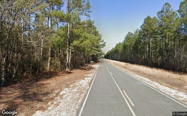 Decorative background for 1.35 Acres in Harrells - Sampson County, NC image 6