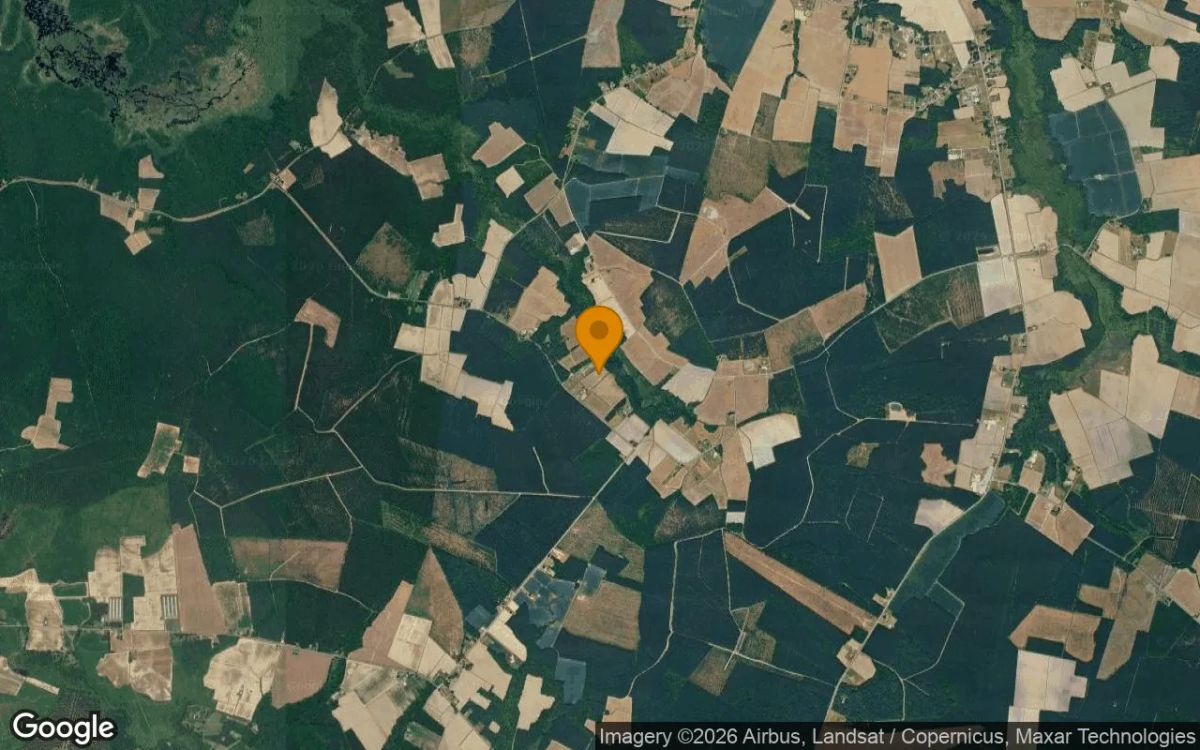 11.73 Acres in Sunbury - Gates County, NC - Image 3