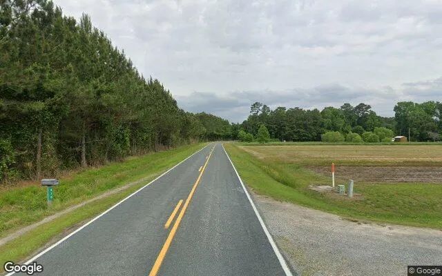 Decorative background for 11.73 Acres in Sunbury - Gates County, NC image 5