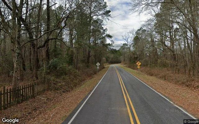 Decorative background for 0.55 Acres in Wallace - Duplin County, NC image 6