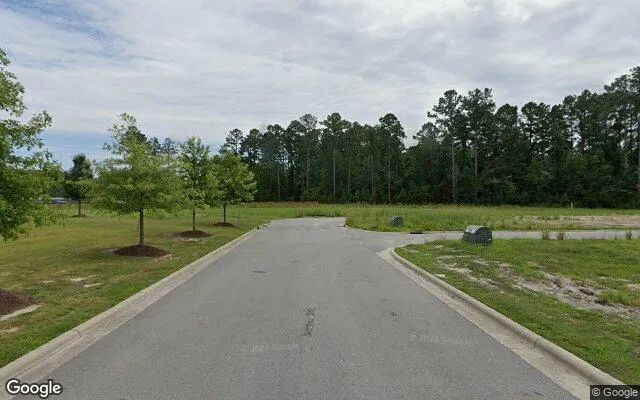 Decorative background for 1.18 Acres in New Bern - Craven County, NC image 6