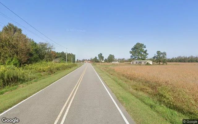 Decorative background for 1 Acres in Engelhard - Hyde County, NC image 6