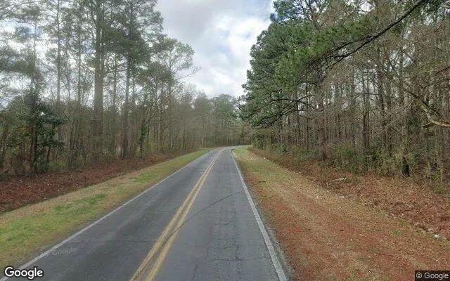 Decorative background for 0.9 Acres in Maple Hill - Pender County, NC image 5