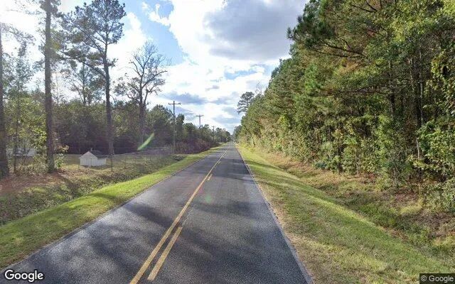 Decorative background for 4.55 Acres in Lake Waccamaw - Columbus County, NC image 5