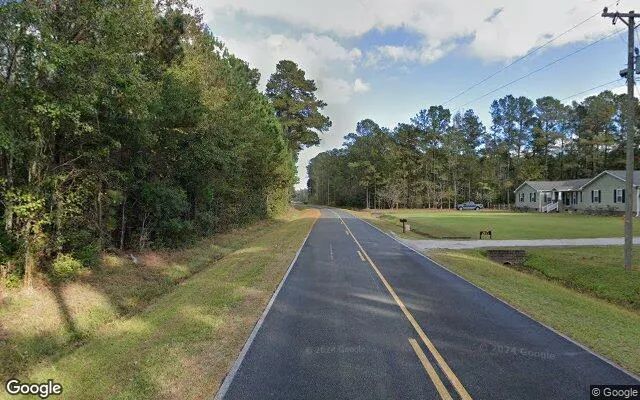 Decorative background for 4.55 Acres in Lake Waccamaw - Columbus County, NC image 6