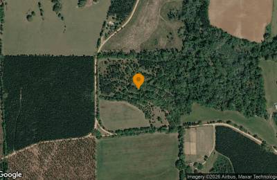 30.07 Acres in Greenville - Madison County, FL