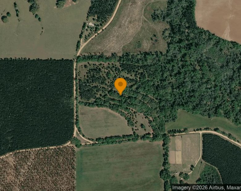 30.07 Acres in Greenville - Madison County, FL in Madison County, FL