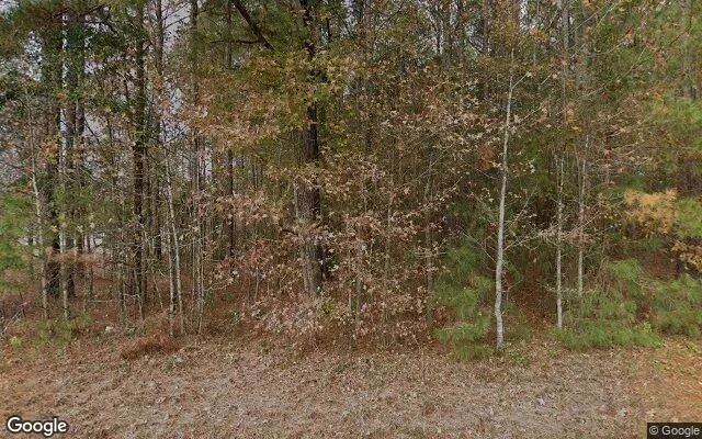 2.31 Acres in Bladen - Bladen County, NC - Image 4