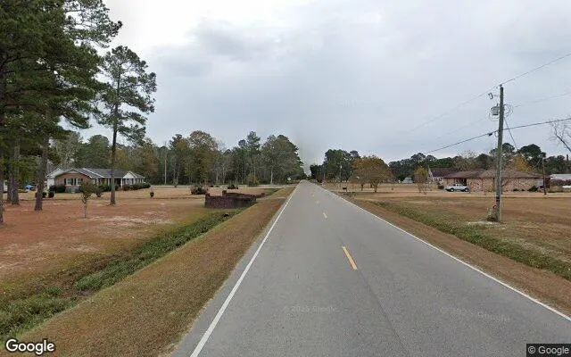 Decorative background for 2.75 Acres in Bolton - Columbus County, NC image 5