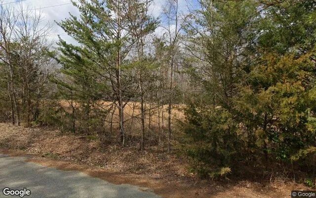 Decorative background for 75.97 Acres in Alamance - Alamance County, NC image 5