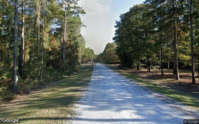 Decorative background for 0.46 Acres in Bladenboro - Bladen County, NC image 6