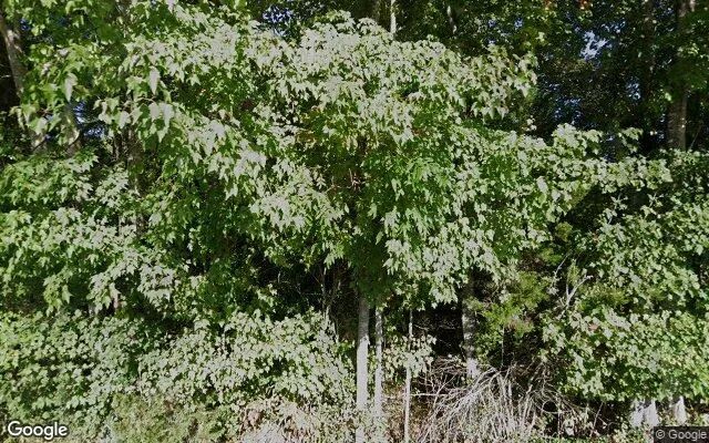 4.69 Acres in Elkin - Wilkes County, NC in Wilkes County, NC