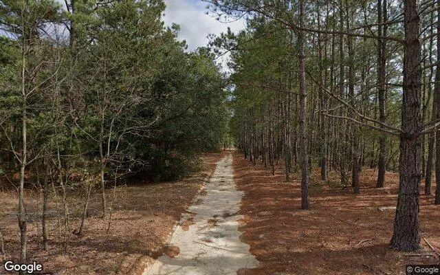 Decorative background for 3.61 Acres in Red Springs - Robeson County, NC image 5