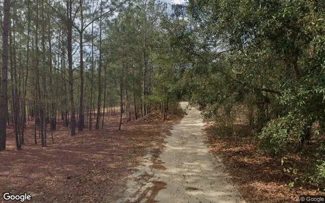 Decorative background for 3.61 Acres in Red Springs - Robeson County, NC image 6