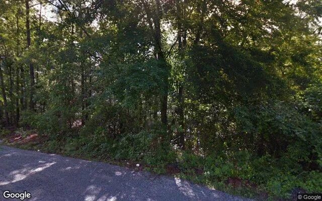 Decorative background for 0.59 Acres in Snow Hill - Greene County, NC image 5