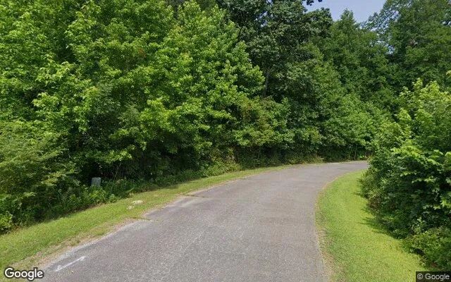 Decorative background for 0.65 Acres in Cofield - Hertford County, NC image 6