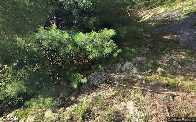 Decorative background for 1.2 Acres in Cashiers - Jackson County, NC image 6
