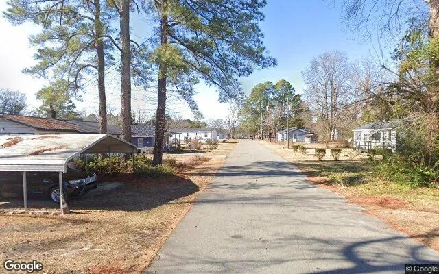 Decorative background for 0.17 Acres in La Grange - Lenoir County, NC image 6