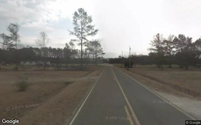 Decorative background for 0.4 Acres in Kelford - Bertie County, NC image 6