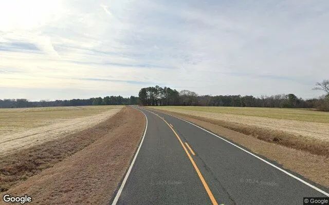 Decorative background for 19.3 Acres in Broadway - Harnett County, NC image 6