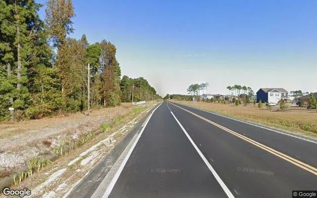 Decorative background for 0.21 Acres in Castle Hayne - New Hanover County, NC image 5