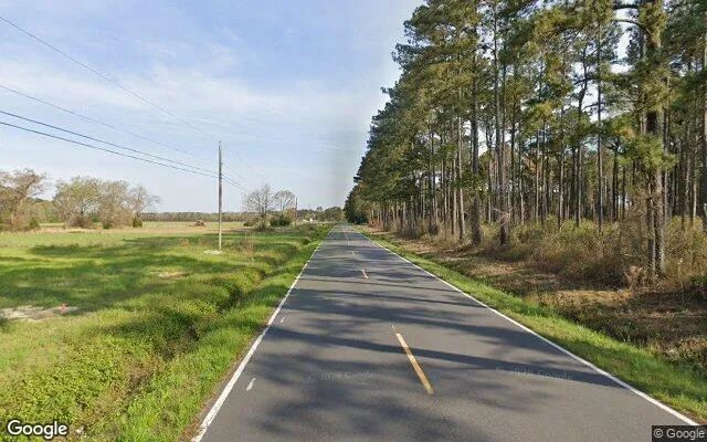 Decorative background for 1 Acres in Columbia - Tyrrell County, NC image 6
